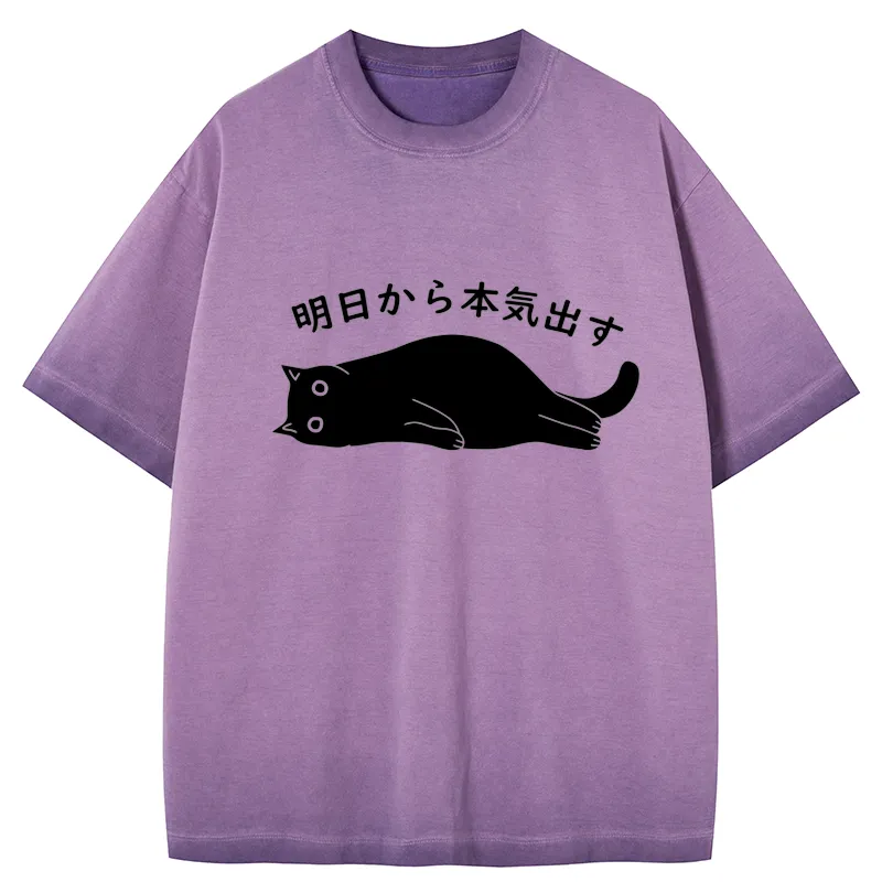 Tokyo-Tiger I'm Going To Get Serious Tomorrow Gradient Washed T-Shirt
