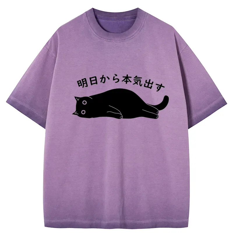 Tokyo-Tiger I'm Going To Get Serious Tomorrow Gradient Washed T-Shirt