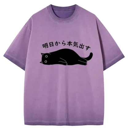 Tokyo-Tiger I'm Going To Get Serious Tomorrow Gradient Washed T-Shirt