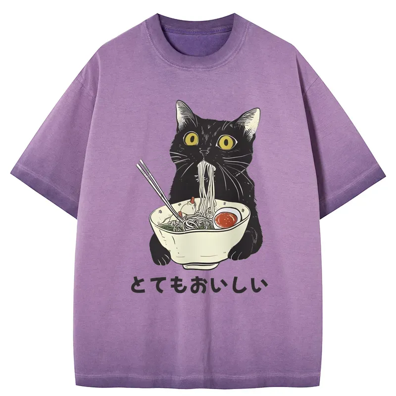Tokyo-Tiger Cats Eat Ramen Noodles Gradient Washed T-Shirt