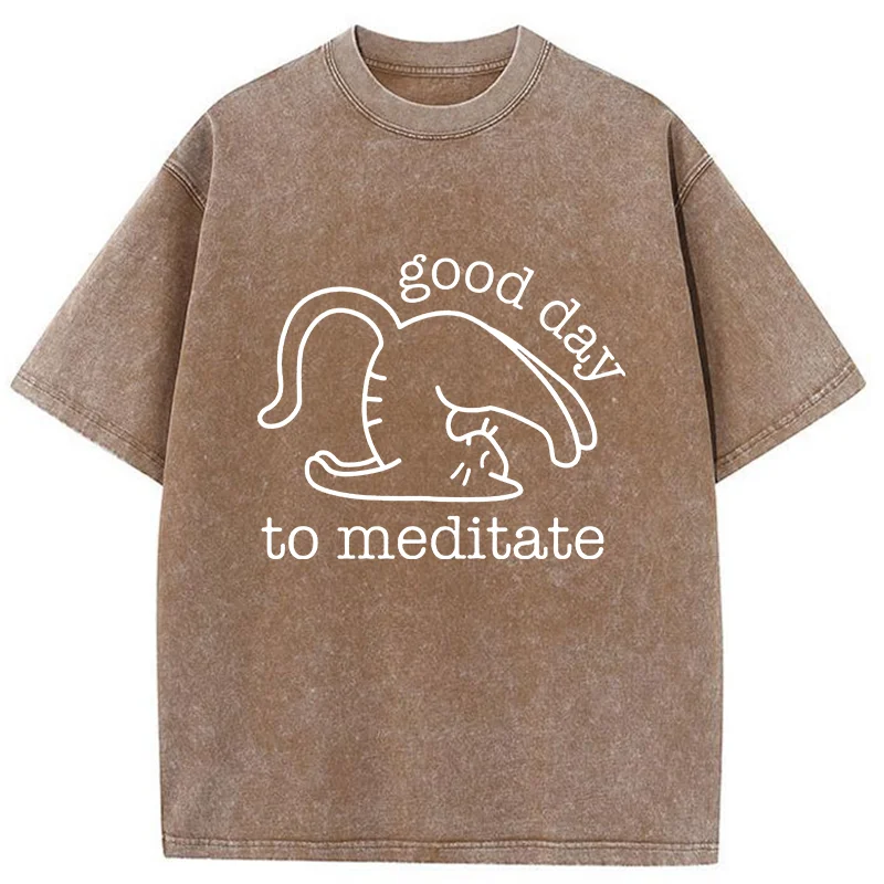 Tokyo-Tiger Cats Doing Yoga Washed T-Shirt