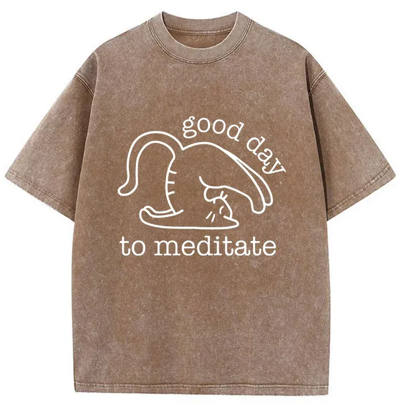 Tokyo-Tiger Cats Doing Yoga Washed T-Shirt