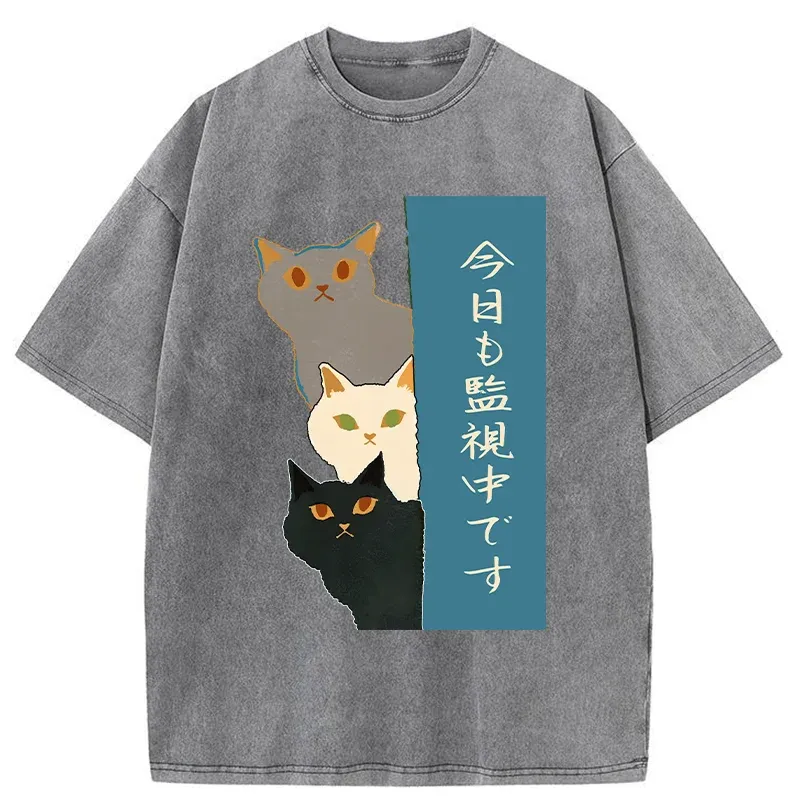 Tokyo-Tiger Cats Secretly Watching Washed T-Shirt