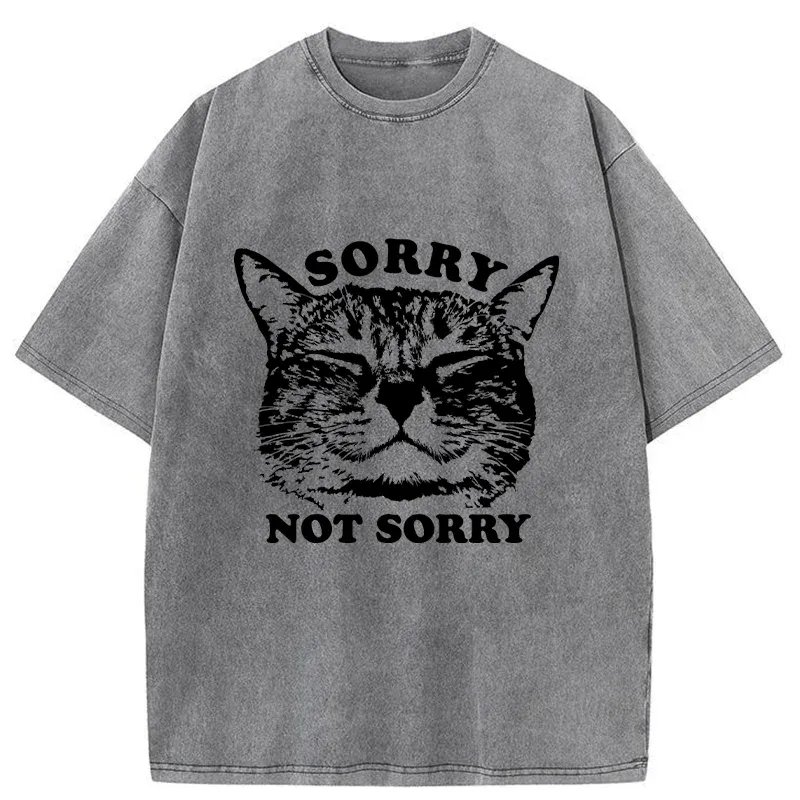 Tokyo-Tiger An Arrogant Apologizer Washed T-Shirt