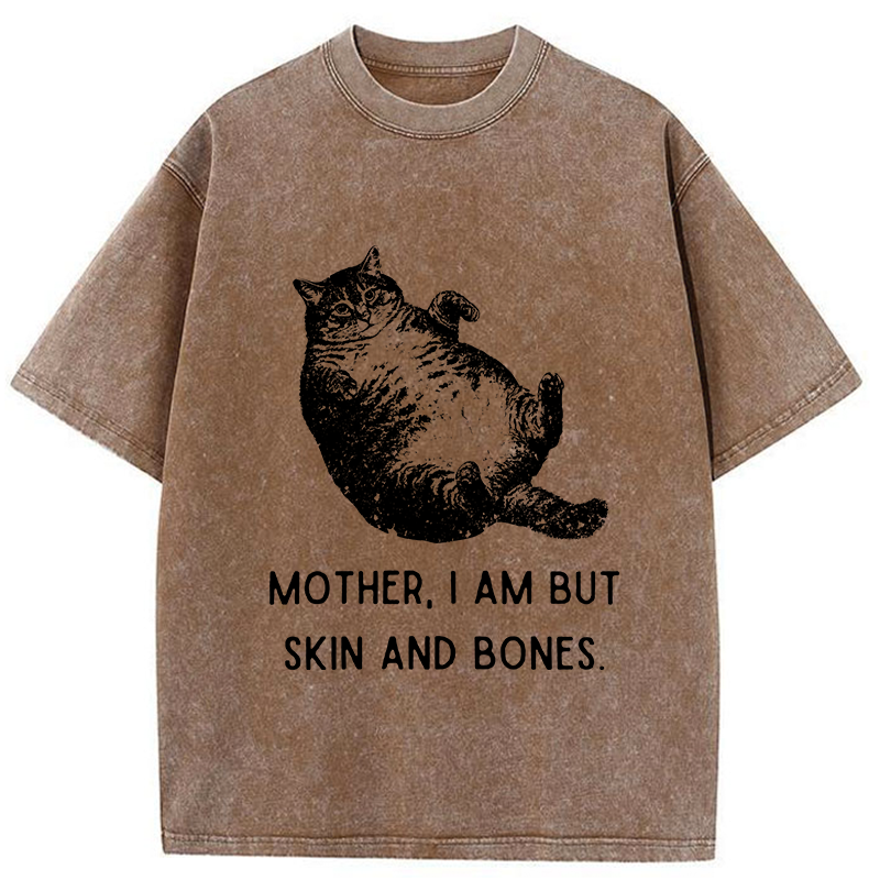 Tokyo-Tiger Overweight Cat And Its Doting Owner Washed T-Shirt