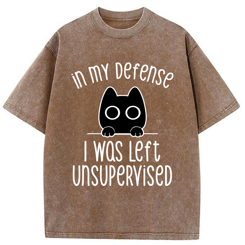 Tokyo-Tiger Defending Cat Funny Washed T-Shirt