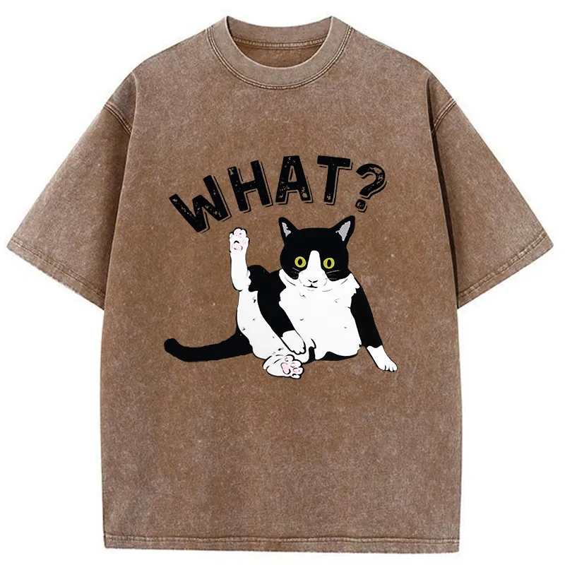 Tokyo-Tiger Cat's Question Washed T-Shirt