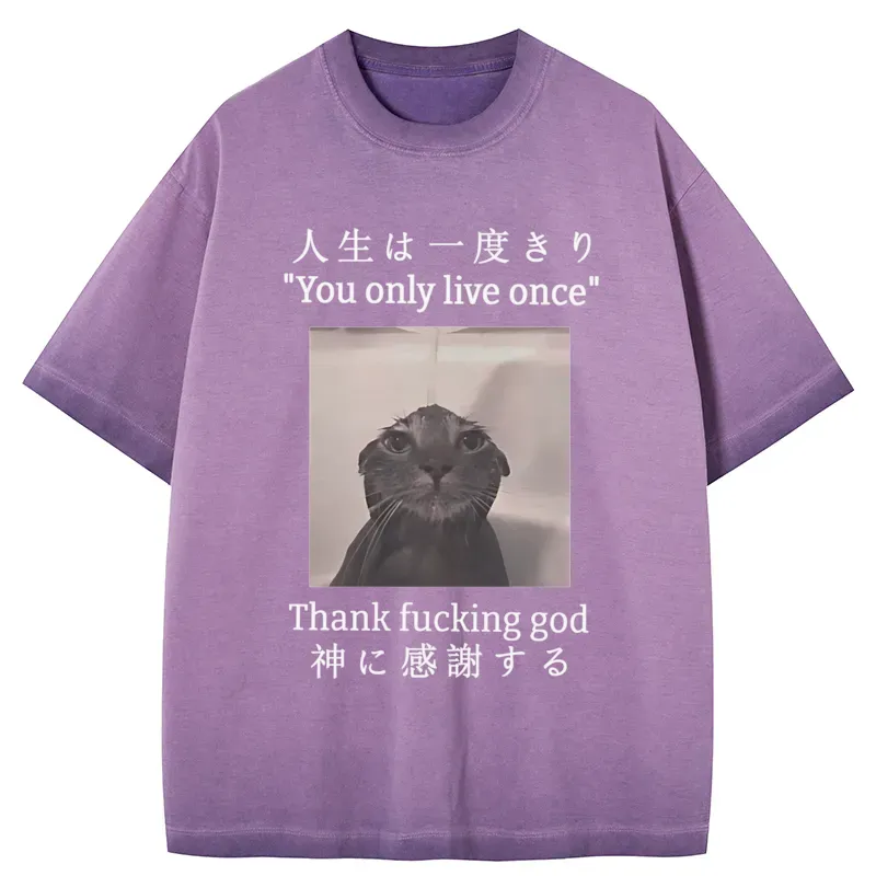 Tokyo-Tiger Funny Melancholy Cat Gradient Washed T-Shirt