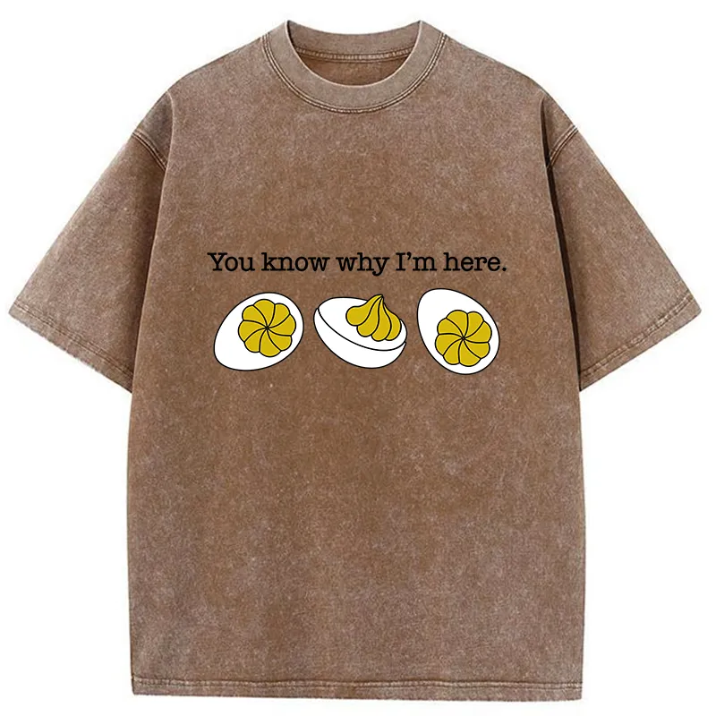 Tokyo-Tiger Deviled-Eggs Funny Washed T-Shirt