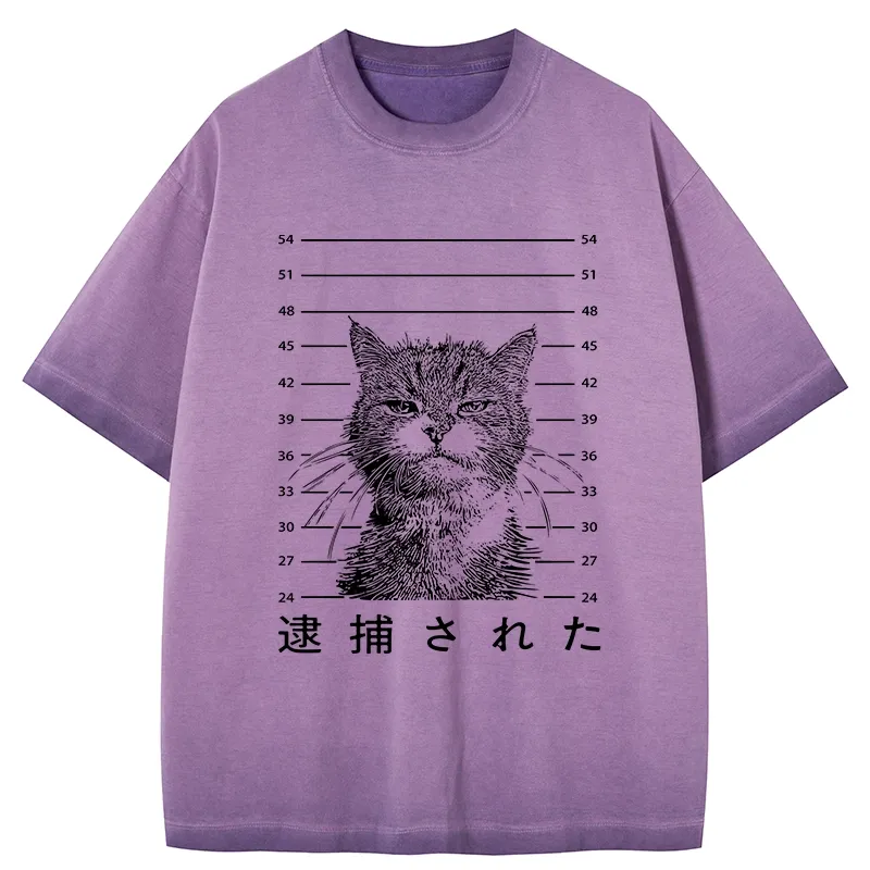 Tokyo-Tiger Cat That Was Arrested Gradient Washed T-Shirt