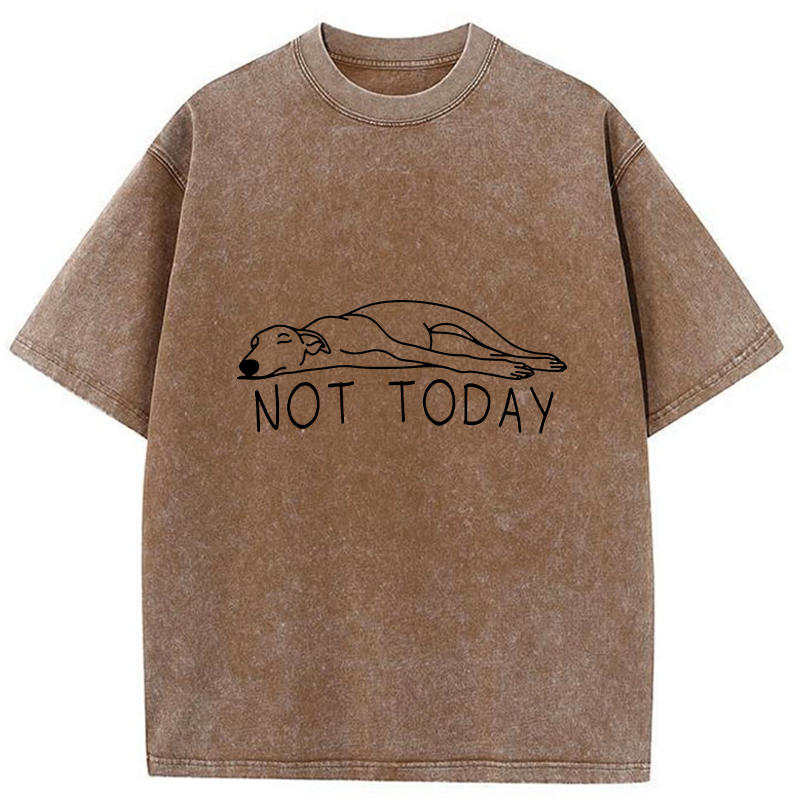 Tokyo-Tiger Lazy Dog Funny Washed T-Shirt