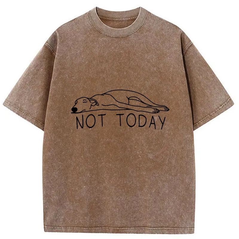 Tokyo-Tiger Lazy Dog Funny Washed T-Shirt