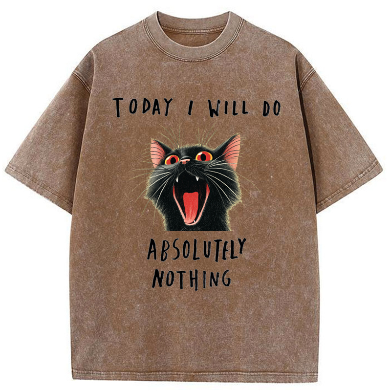 Tokyo-Tiger Today I Will Do Absolutely Nothing Washed T-Shirt
