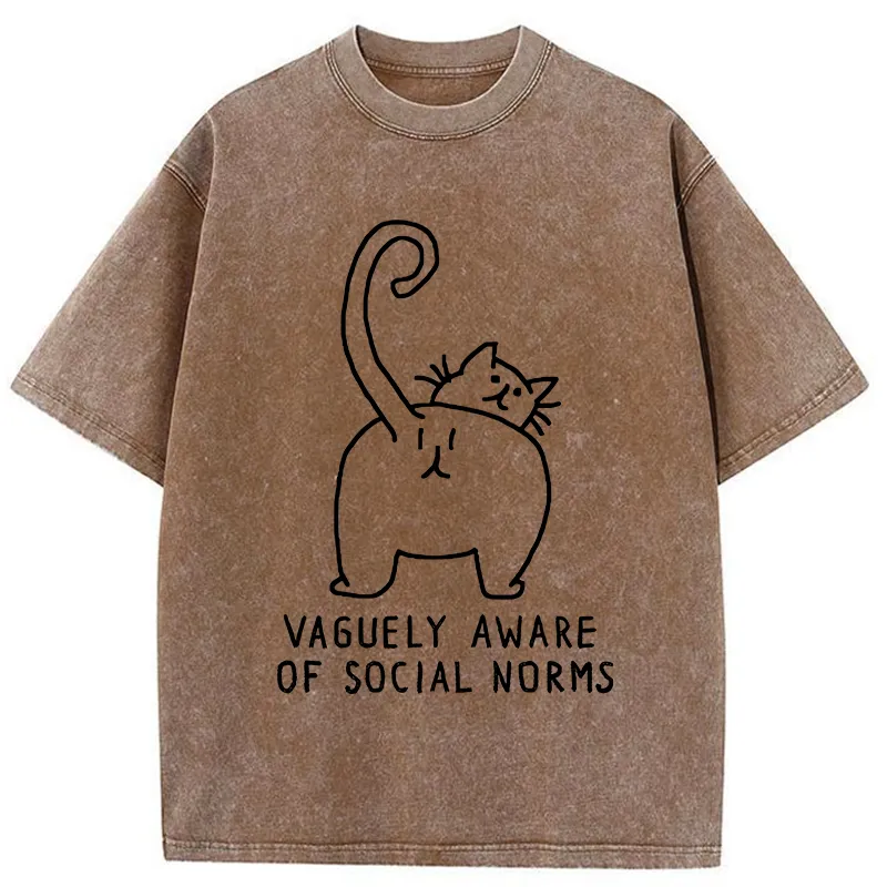 Tokyo-Tiger Vague Understanding Funny Washed T-Shirt