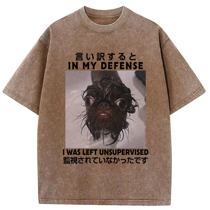 Tokyo-Tiger I Was Left Unsupervised Washed T-Shirt Sale