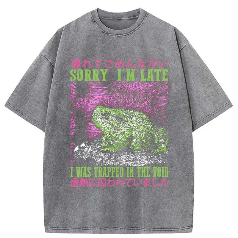 Tokyo-Tiger A Frog In Distress Japanese Washed T-Shirt