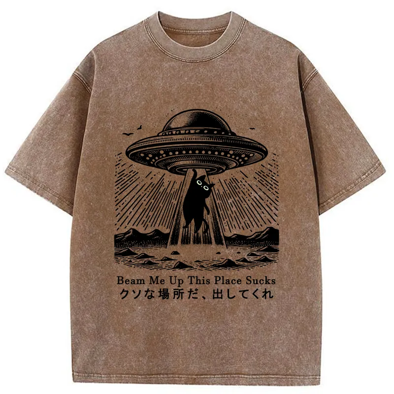 Tokyo-Tiger Please Take Me Away Washed T-Shirt Sale