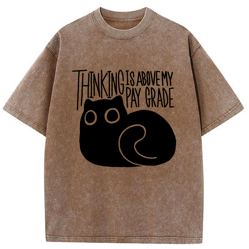 Tokyo-Tiger Thinking Crash Cat Washed T-Shirt