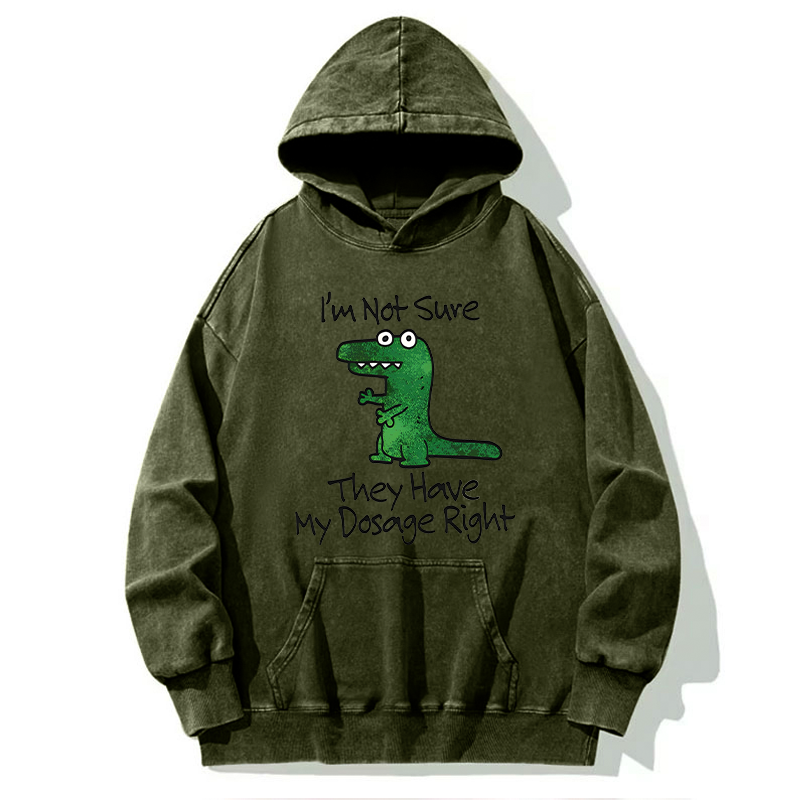 Tokyo-Tiger Dinosaur Meme Sarcastic Ironic Washed Hoodie