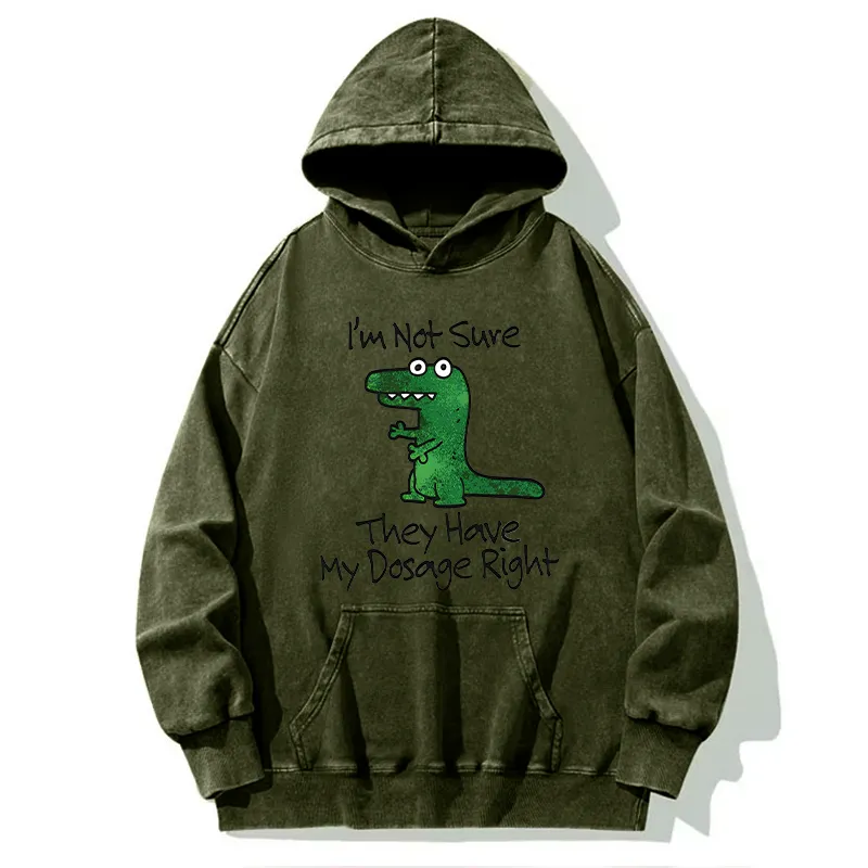 Tokyo-Tiger Dinosaur Meme Sarcastic Ironic Washed Hoodie