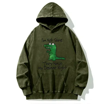 Tokyo-Tiger Dinosaur Meme Sarcastic Ironic Washed Hoodie