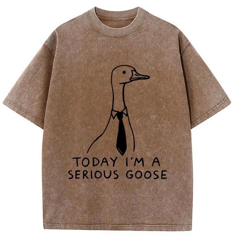 Tokyo-Tiger Serious Goose Funny Washed T-Shirt