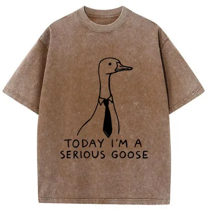 Tokyo-Tiger Serious Goose Funny Washed T-Shirt