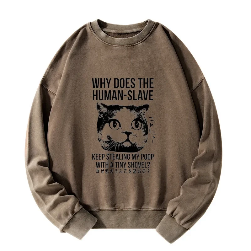 Tokyo-Tiger Cat Thinking About human Washed Sweatshirt