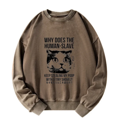 Tokyo-Tiger Cat Thinking About human Washed Sweatshirt