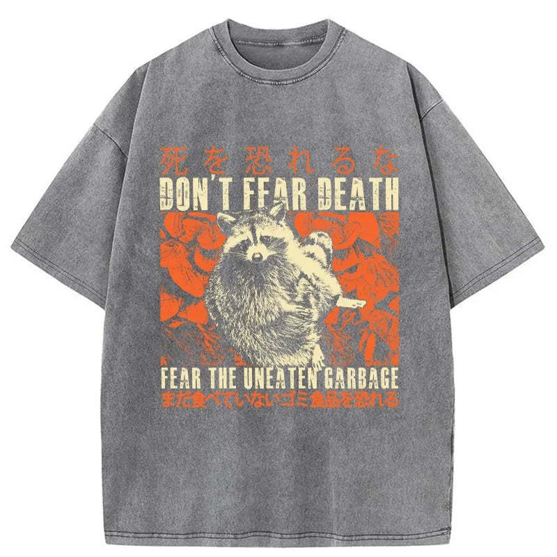 Tokyo-Tiger Timid Raccoon Japanese Washed T-Shirt