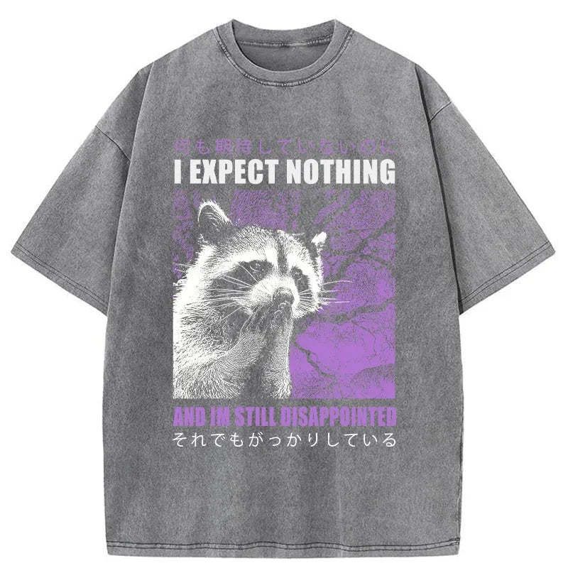 Tokyo-Tiger Disappointed Raccoon Japanese Washed T-Shirt
