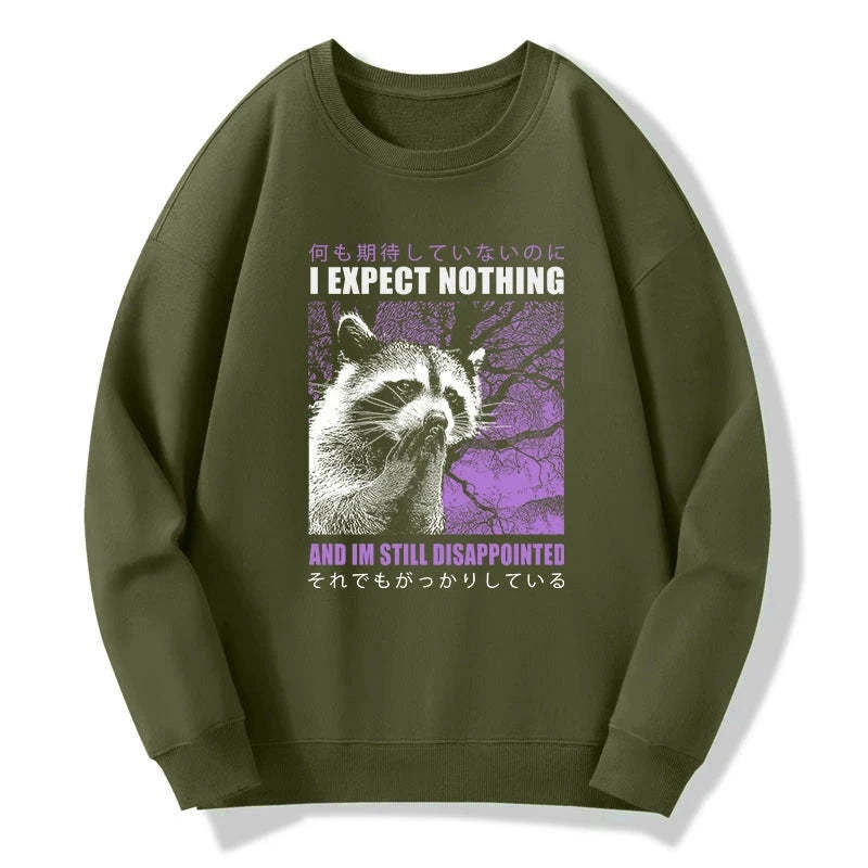 Tokyo-Tiger Disappointed Raccoon Japanese Sweatshirt