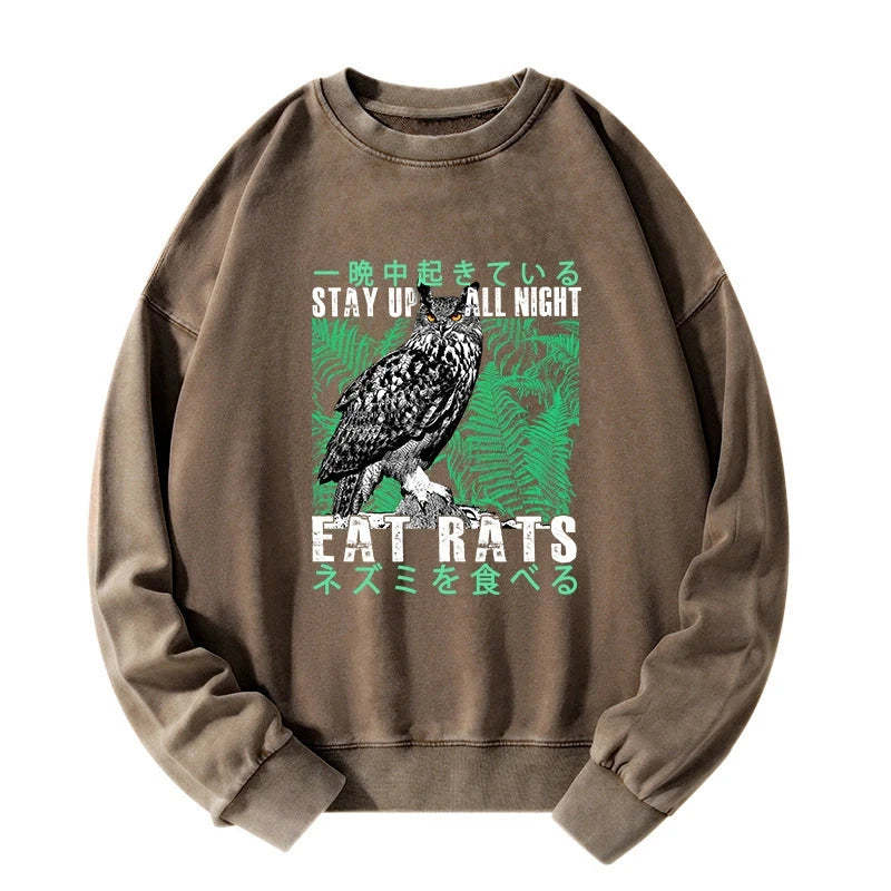 Tokyo-Tiger Owls Prey On Rats At Night Washed Sweatshirt