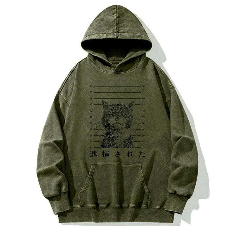 Tokyo-Tiger Cat That Was Arrested Washed Hoodie