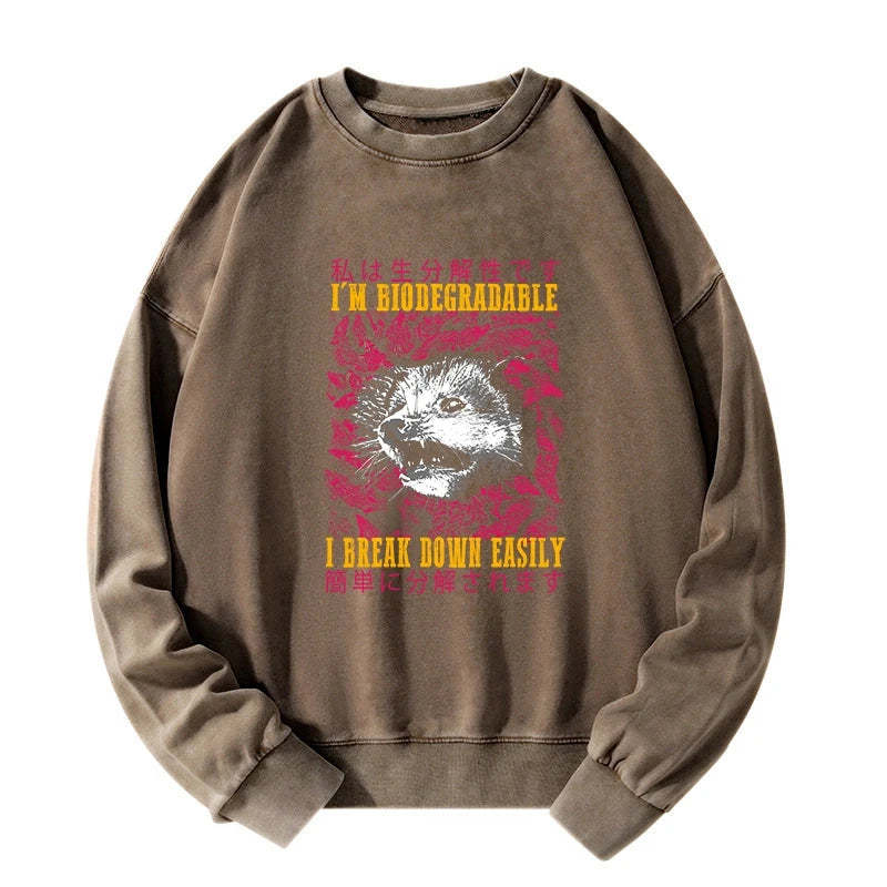 Tokyo-Tiger An Easily Breakable Opossum Washed Sweatshirt