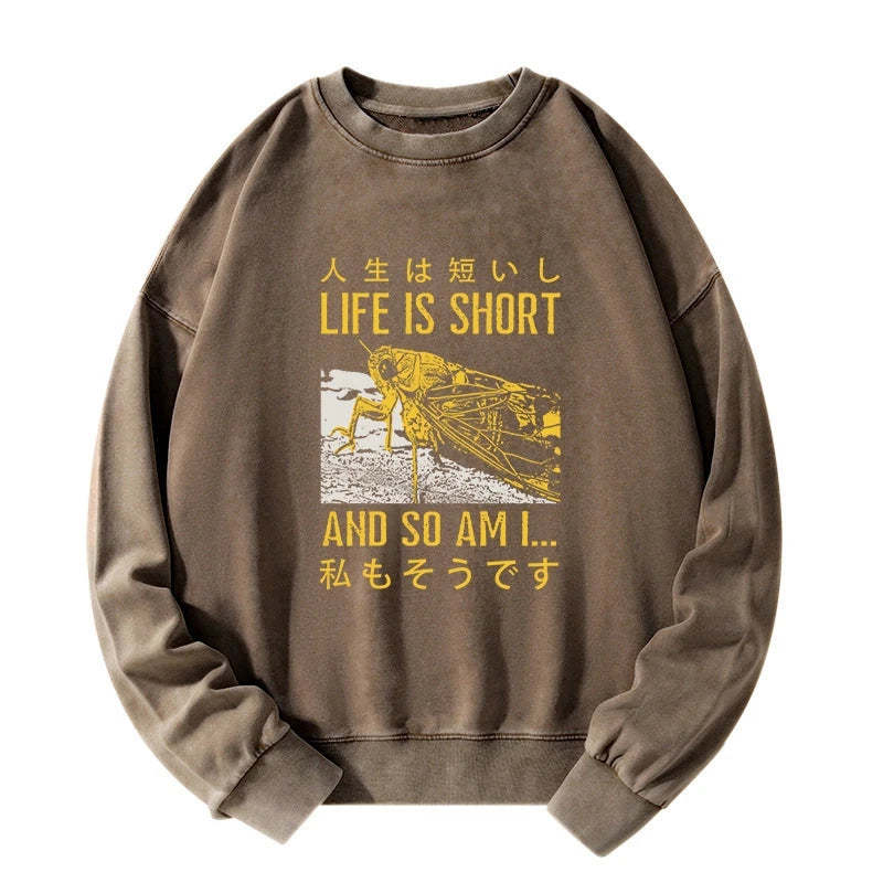 Tokyo-Tiger A Grasshopper With A Short Life Washed Sweatshirt Sale