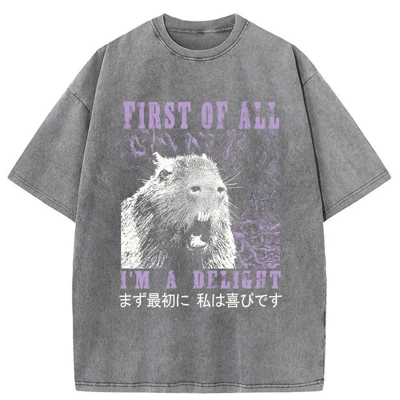 Tokyo-Tiger First Of All I'm A Delight Washed T-Shirt