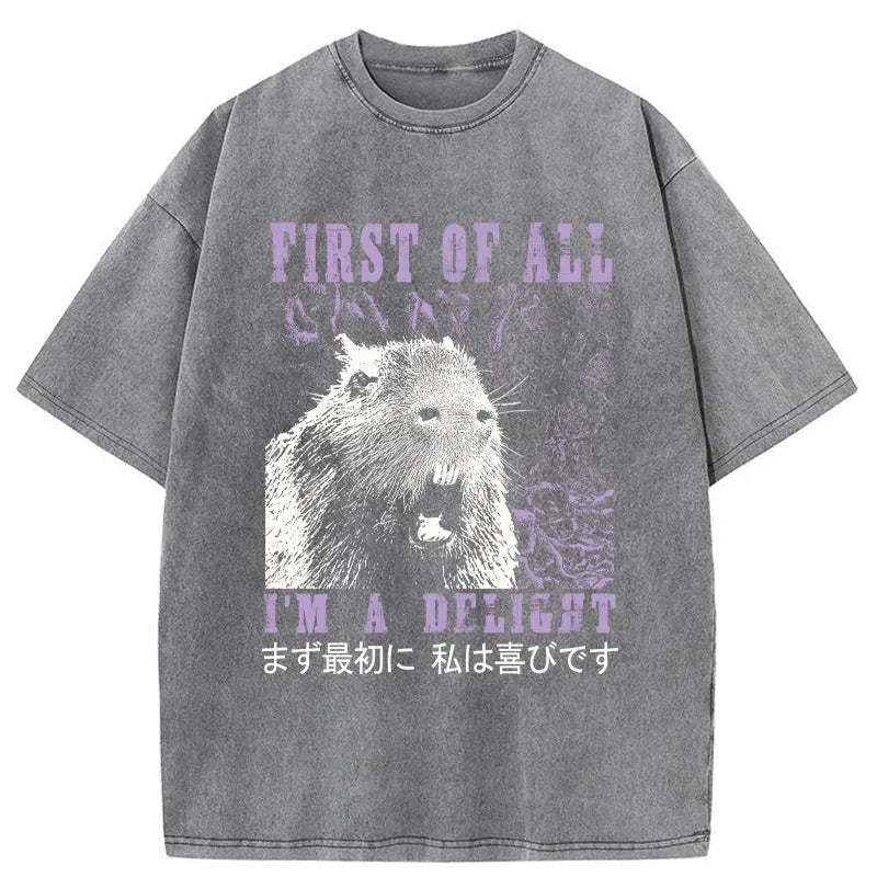 Tokyo-Tiger First Of All I'm A Delight Washed T-Shirt