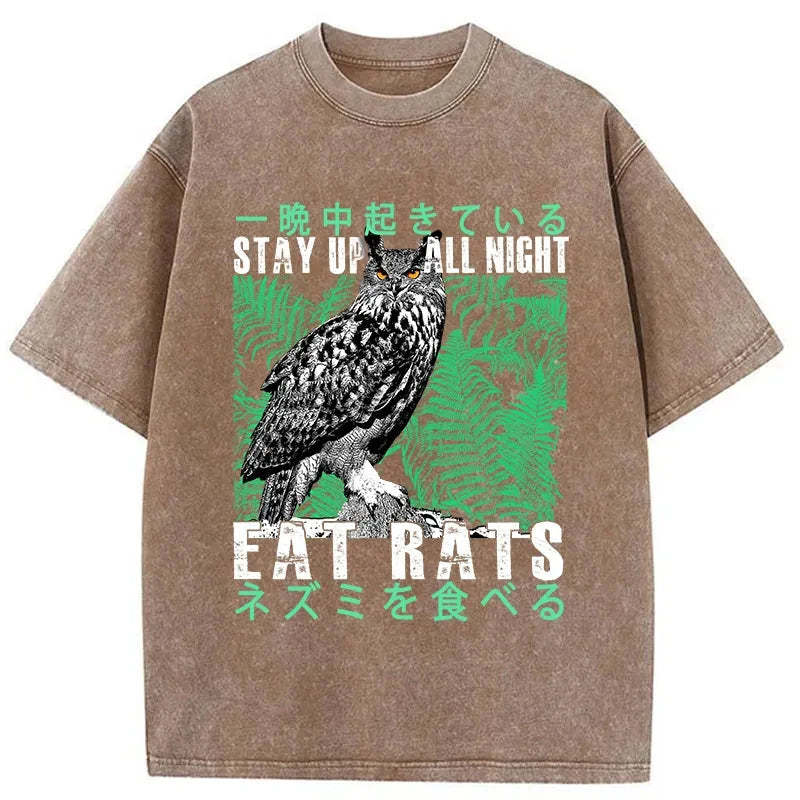 Tokyo-Tiger Owls Prey On Rats At Night Washed T-Shirt