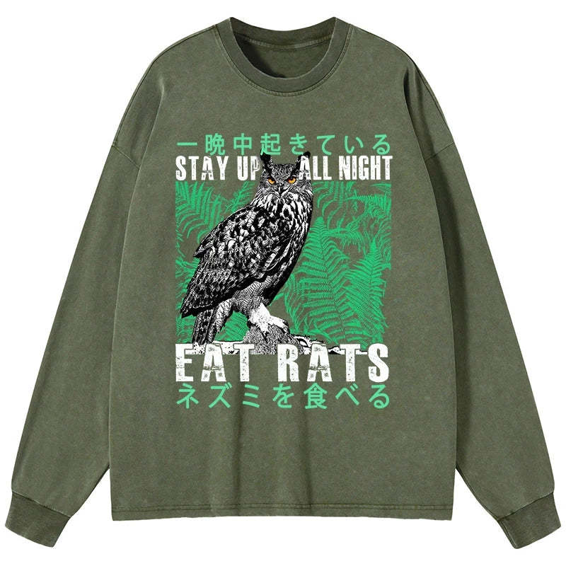 Tokyo-Tiger Owls Prey On Rats At Night Washed Long Sleeve T-Shirt