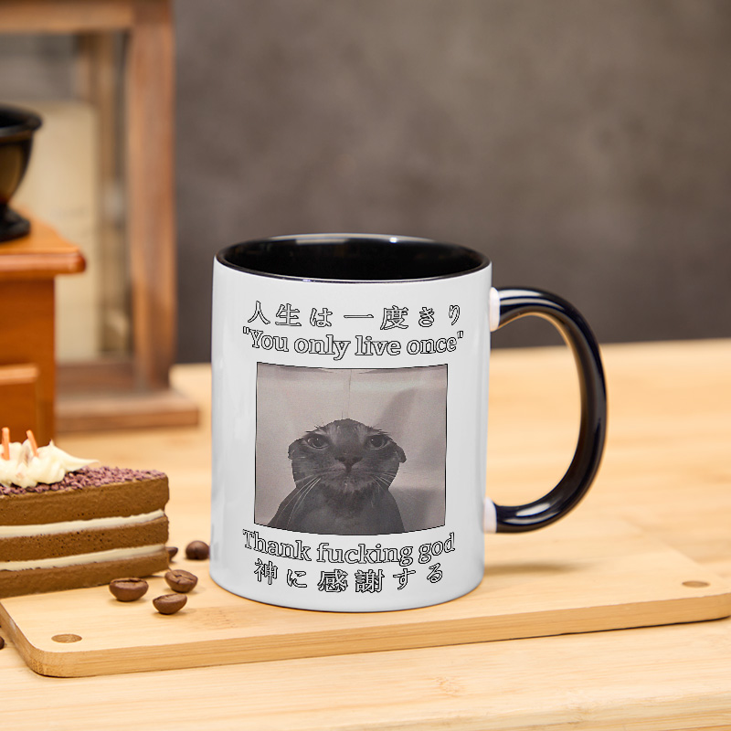 Tokyo-Tiger Funny Melancholy Cat Mug
