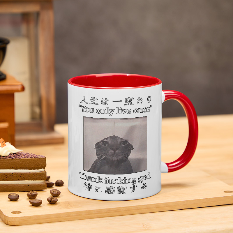 Tokyo-Tiger Funny Melancholy Cat Mug