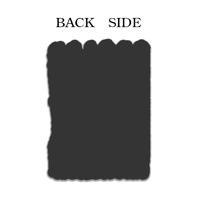 Tokyo-Tiger Stupid Possum Japan Fridge Magnet