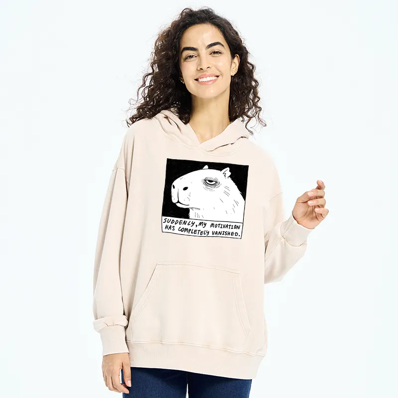 Tokyo-Tiger Power Has Completely Disappeared Washed Hoodie