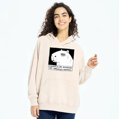 Tokyo-Tiger Power Has Completely Disappeared Washed Hoodie