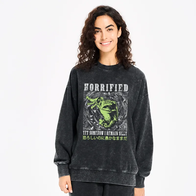 Tokyo-Tiger Silly Frog Japanese Washed Sweatshirt