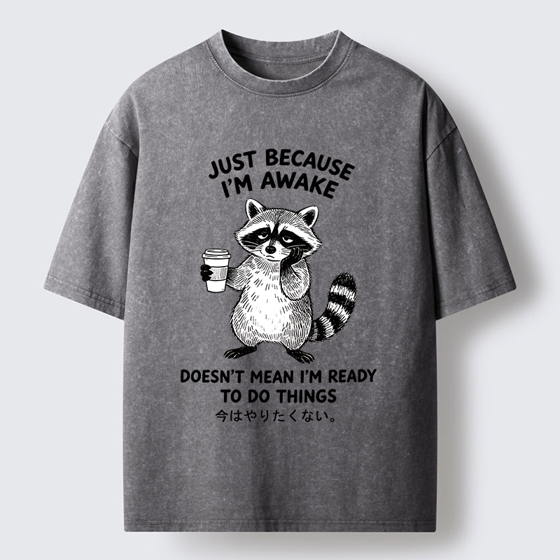 Tokyo-Tiger Tired Raccoon Coffee Washed T-Shirt