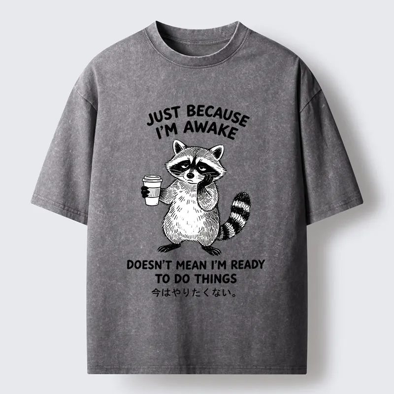 Tokyo-Tiger Tired Raccoon Coffee Washed T-Shirt