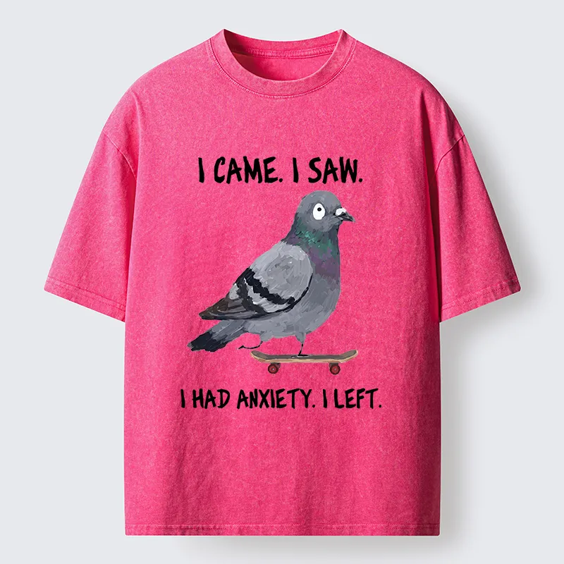 Tokyo-Tiger Skateboard Pigeon Meme Washed T-Shirt