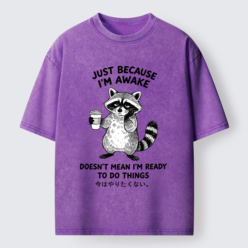 Tokyo-Tiger Tired Raccoon Coffee Washed T-Shirt